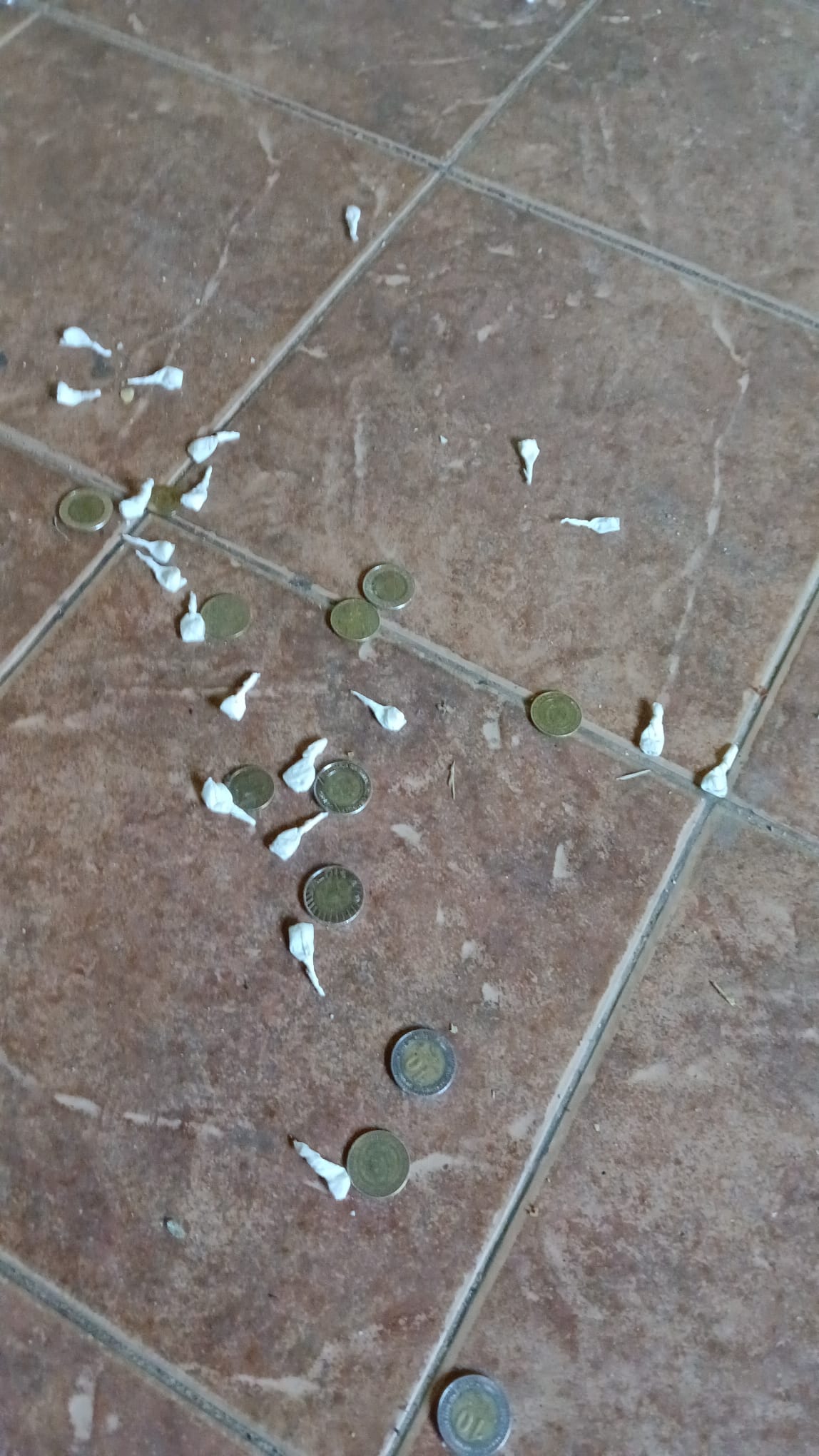 e046f717-7c9f-48c9-9d22-c01d4210b437