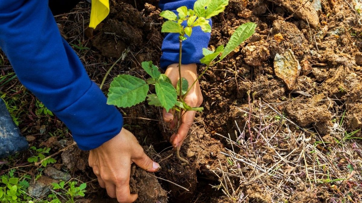 Club de Leones Comunicadores lanza desafío ambiental por su aniversario