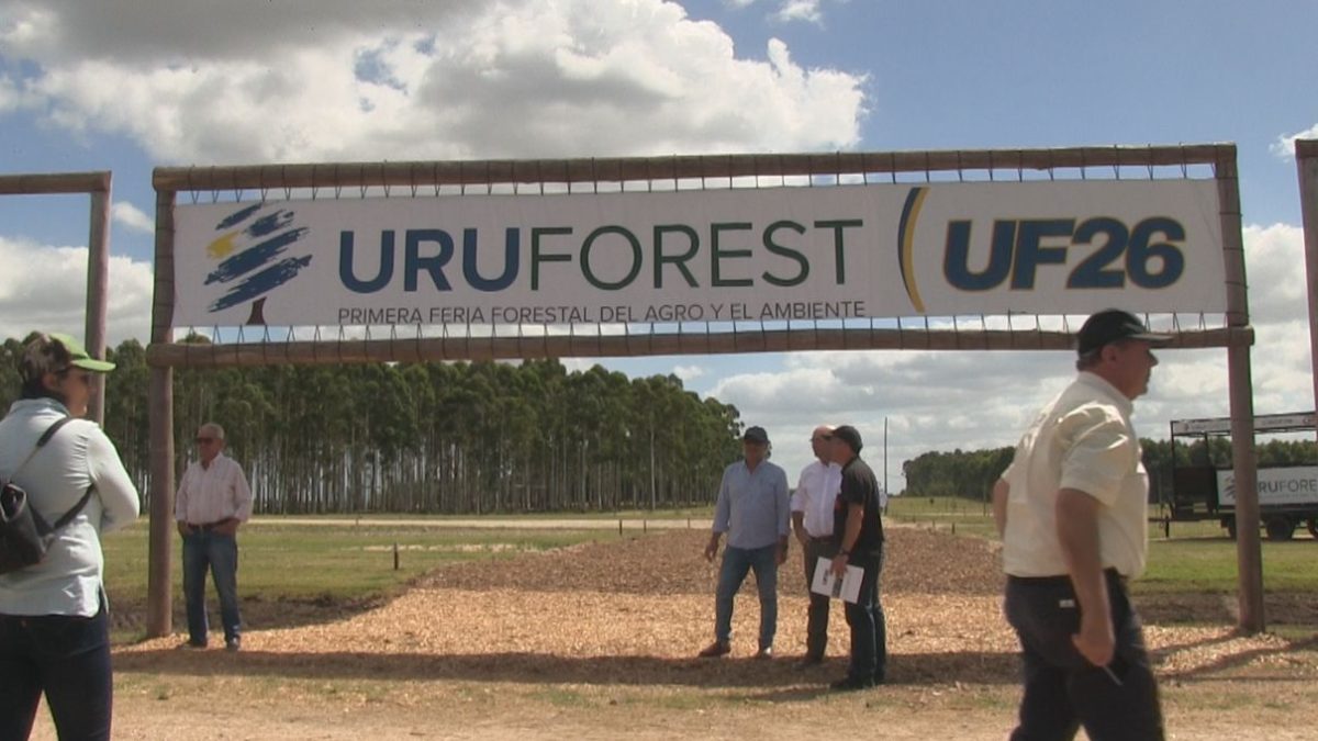 Uruforest 2026: Innovación y Bioeconomía en Juan Lacaze