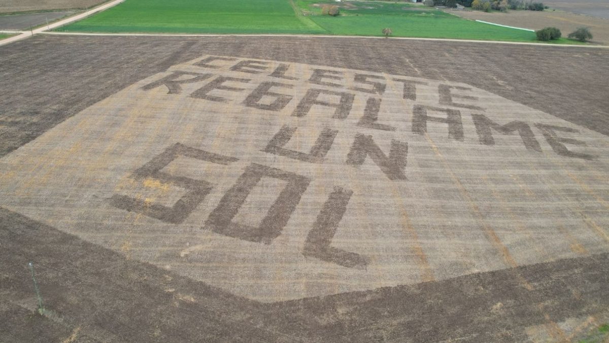 Mensaje gigante en Colonia para alentar a la Celeste