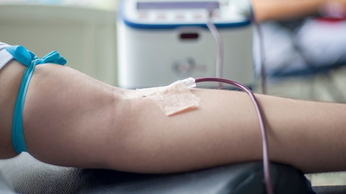 Día del Donante: CAMEC destaca el valor de salvar vidas