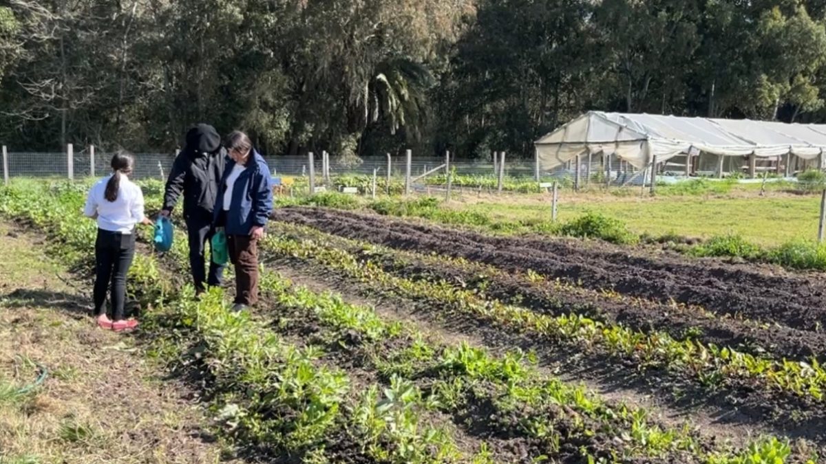 Escuela Agraria de Rosario abre sus puertas